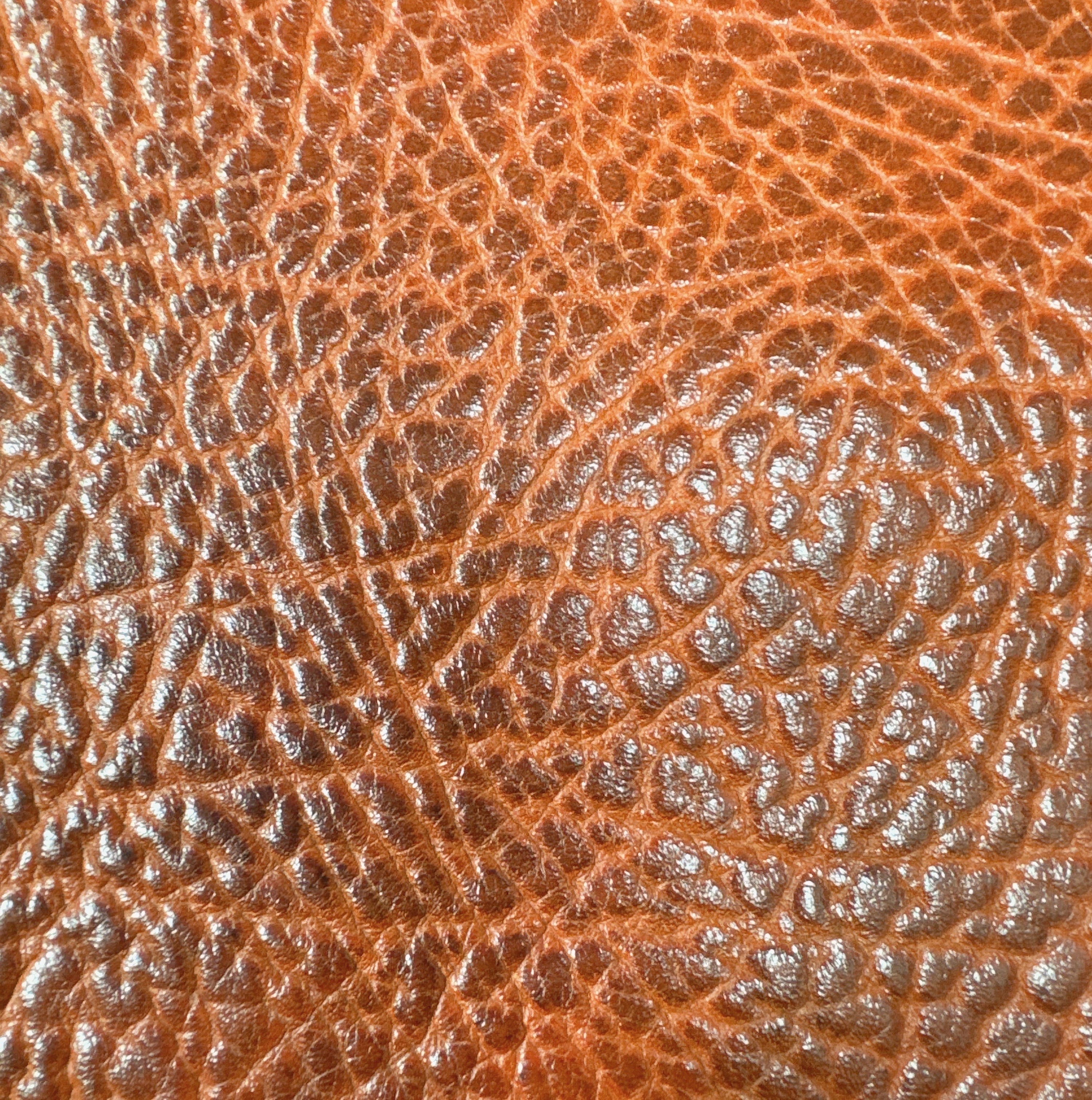 TG-01 Terra Grain Material Card leather texture image