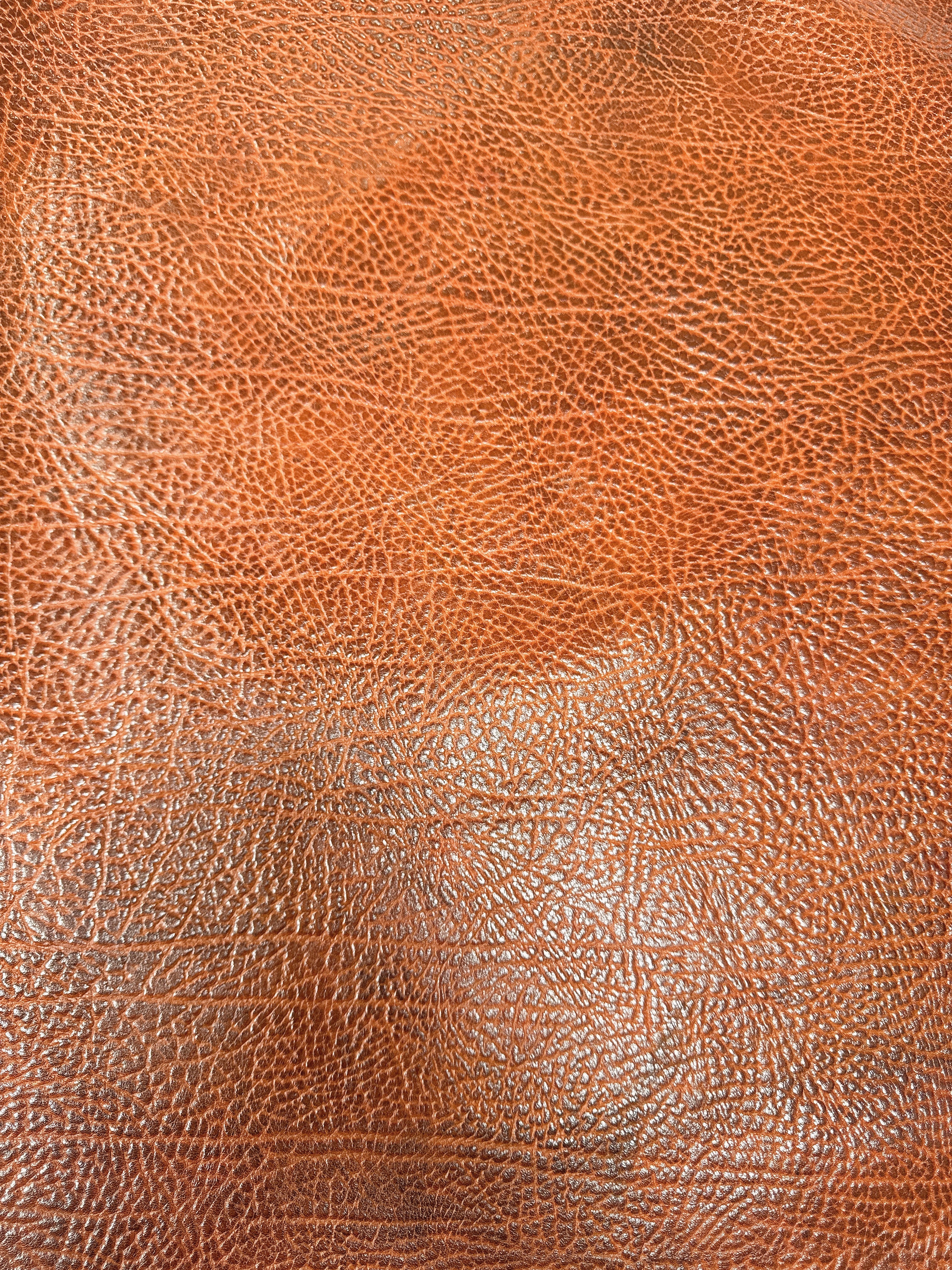 TG-01 Terra Grain Detail 1 leather texture image