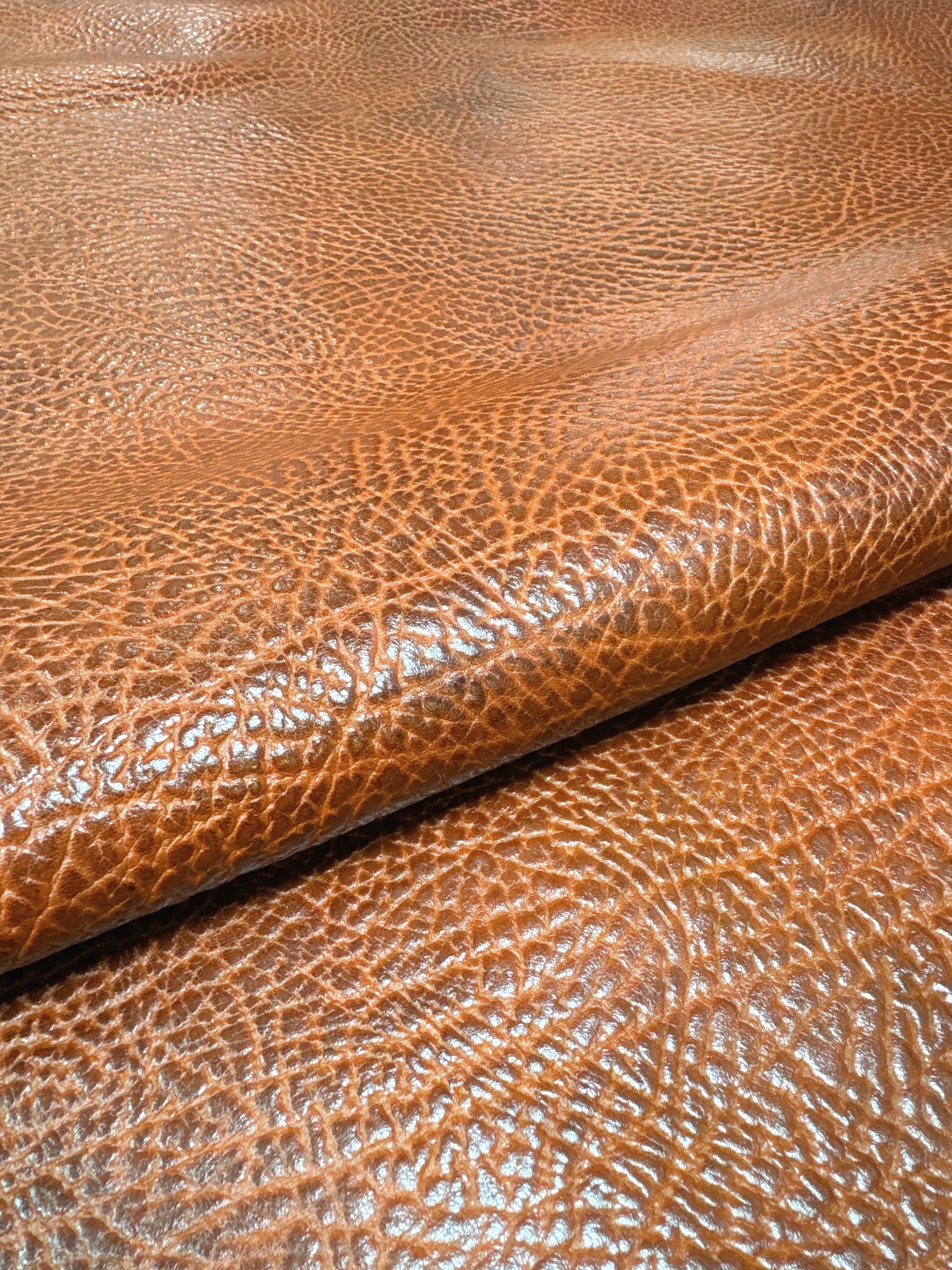 TG-01 Terra Grain Detail 2 leather texture image