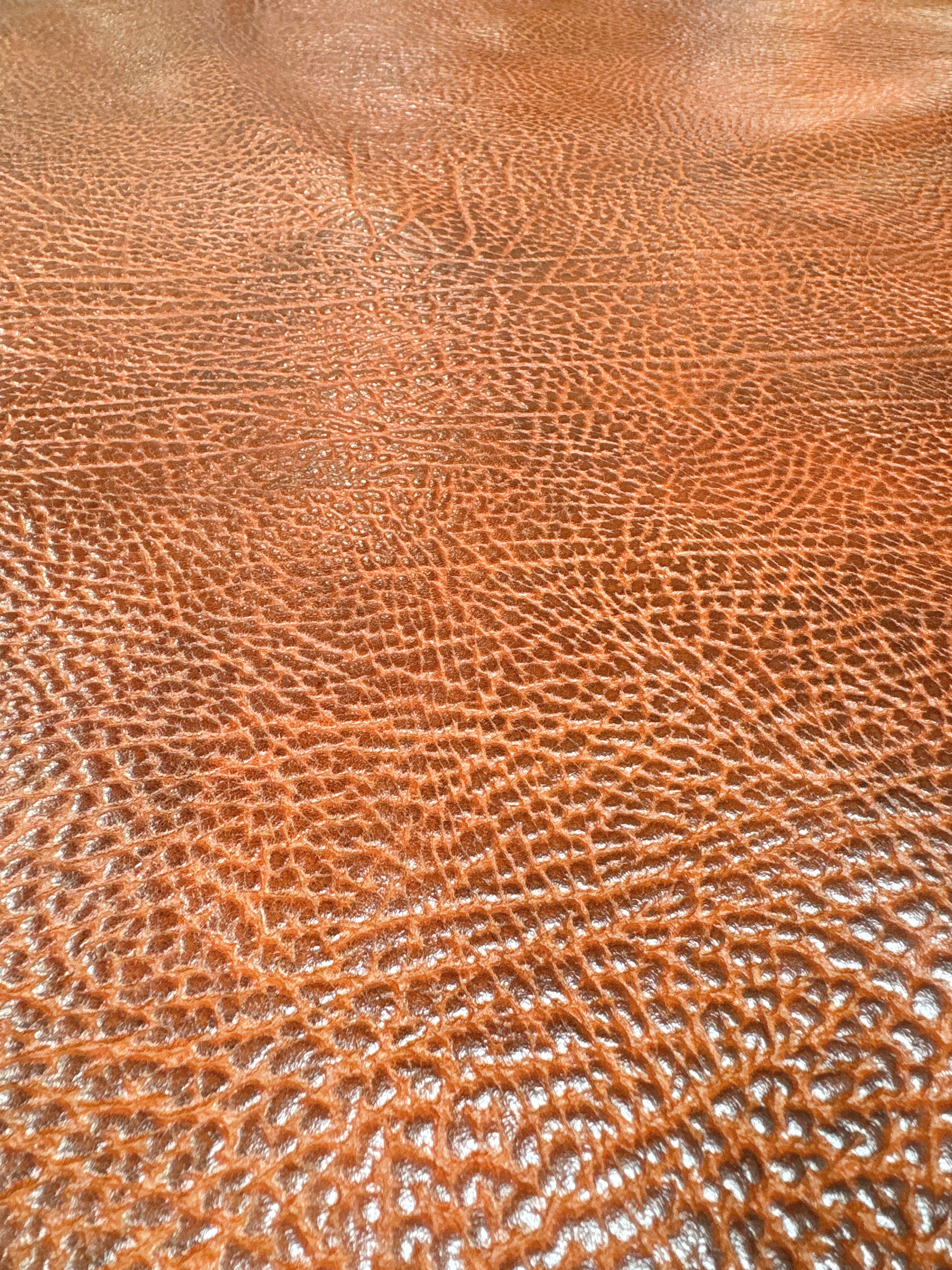 TG-01 Terra Grain Detail 3 leather texture image